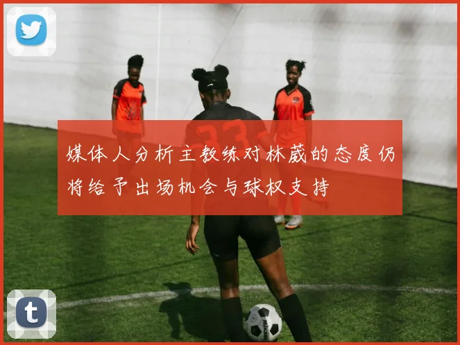 媒体人分析主教练对林葳的态度仍将给予出场机会与球权支持