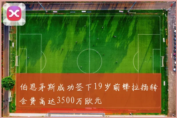 伯恩茅斯成功签下19岁前锋拉扬转会费高达3500万欧元